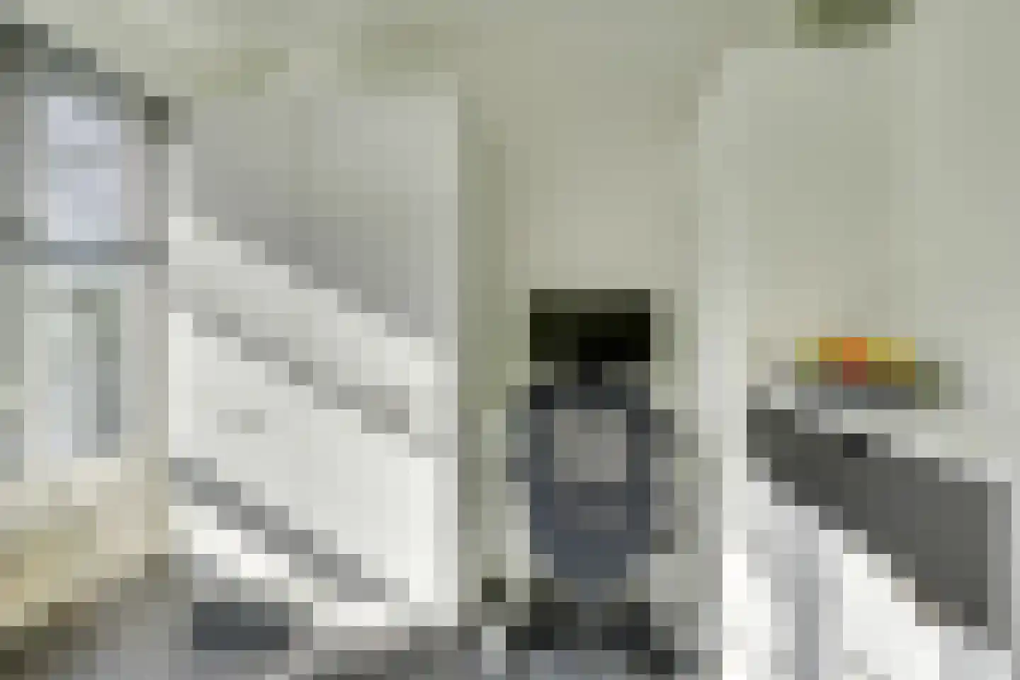Peetersdreef 234 Utrecht thumbnail 19