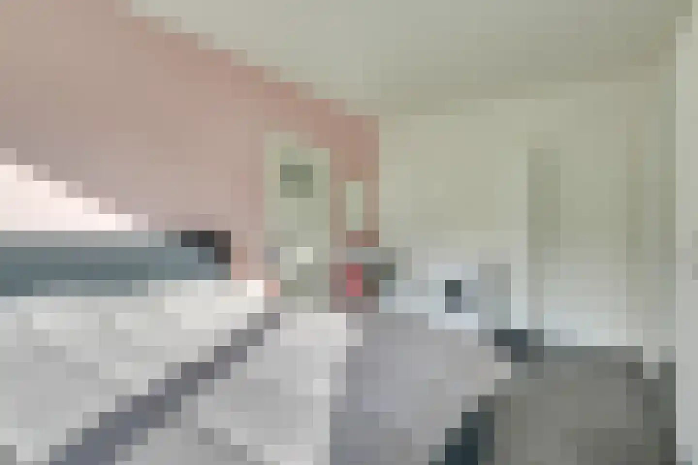 Peetersdreef 234 Utrecht thumbnail 25