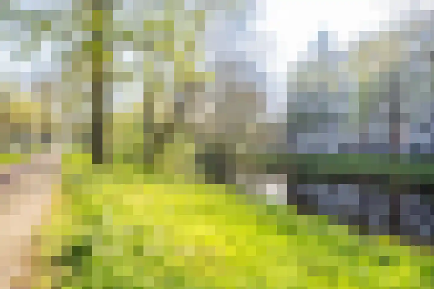 Peetersdreef 234 Utrecht thumbnail 32