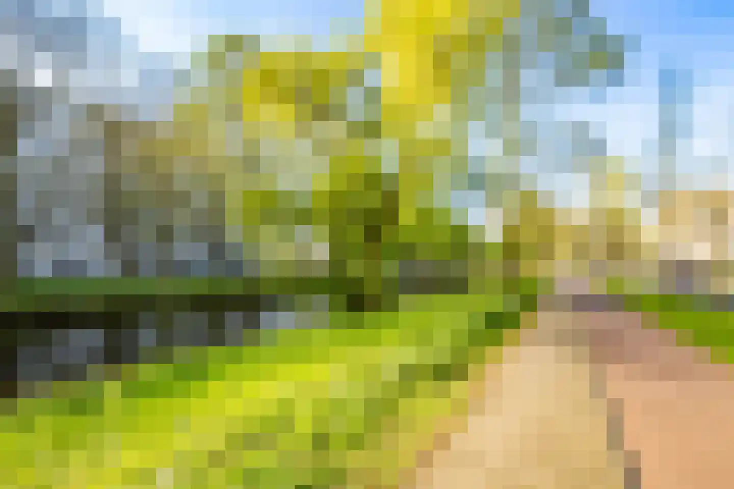 Peetersdreef 234 Utrecht thumbnail 34