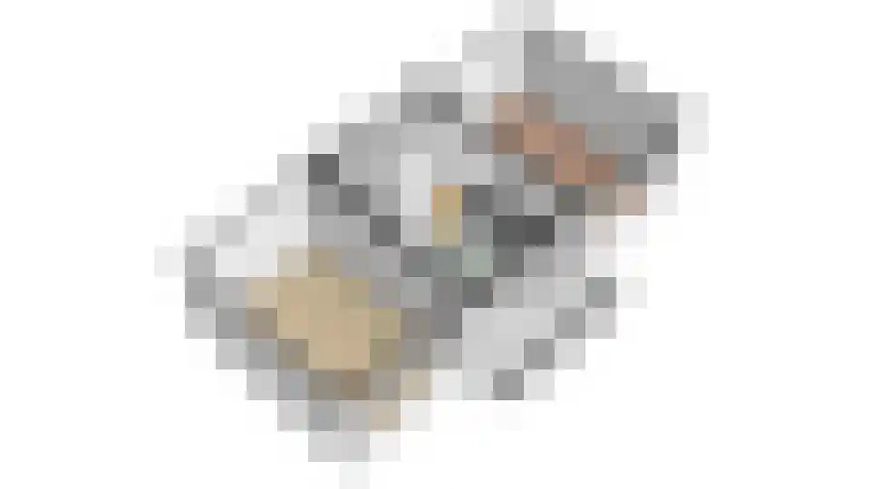 Peetersdreef 234 Utrecht thumbnail 37
