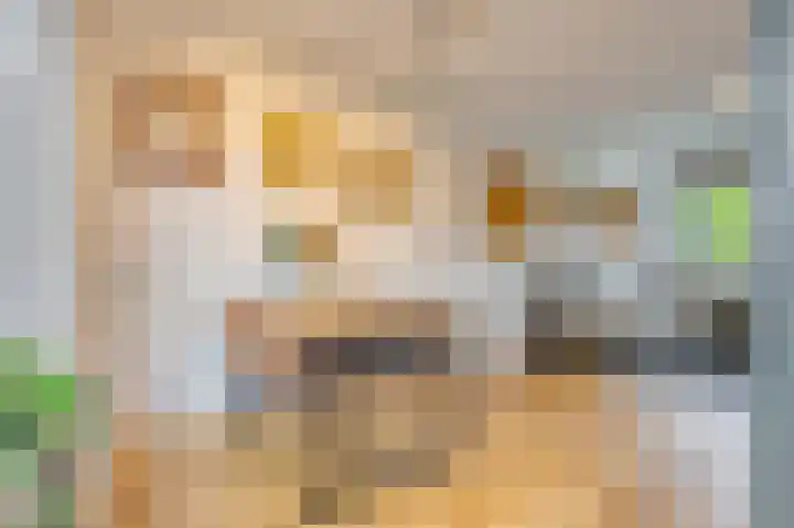 Peetersstraat 1 Wijnandsrade thumbnail 20
