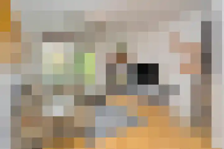Peetersstraat 1 Wijnandsrade thumbnail 21