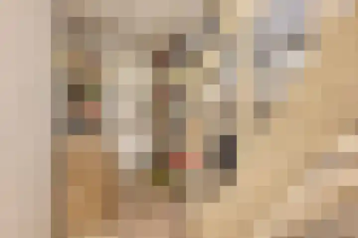 Peetersstraat 1 Wijnandsrade thumbnail 27