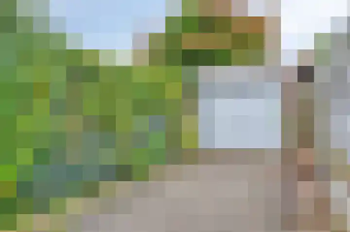 Peetersstraat 1 Wijnandsrade thumbnail 4