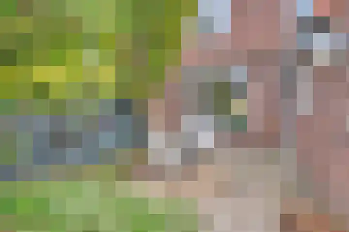 Peetersstraat 1 Wijnandsrade thumbnail 6