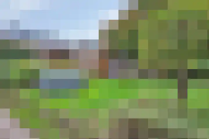 Peetersstraat 1 Wijnandsrade thumbnail 7
