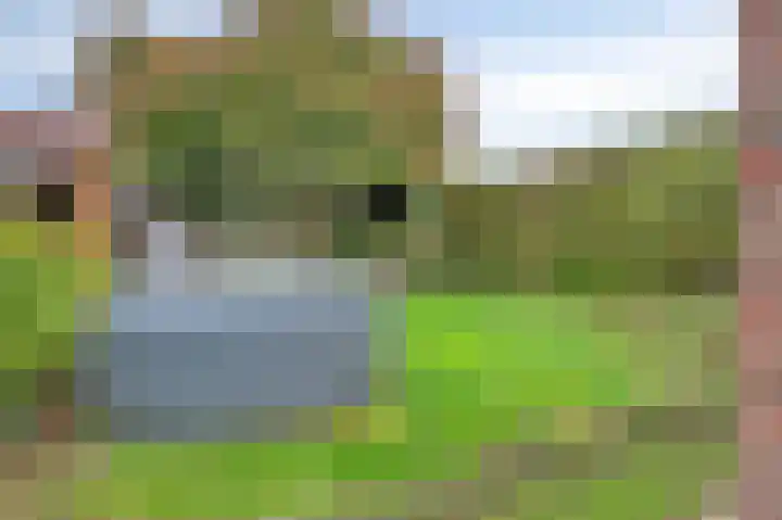 Peetersstraat 1 Wijnandsrade thumbnail 8