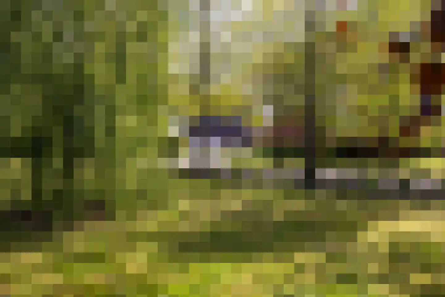 Peezeweg 7 Dalfsen thumbnail 11