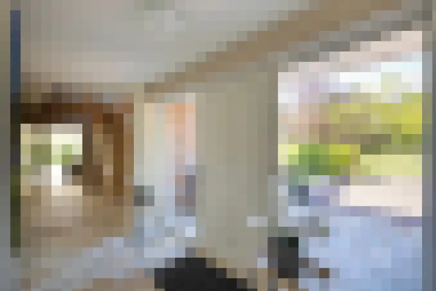 Peezeweg 7 Dalfsen thumbnail 12