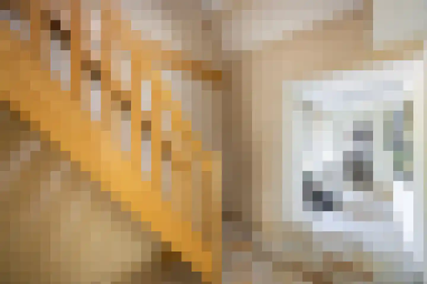 Peezeweg 7 Dalfsen thumbnail 13