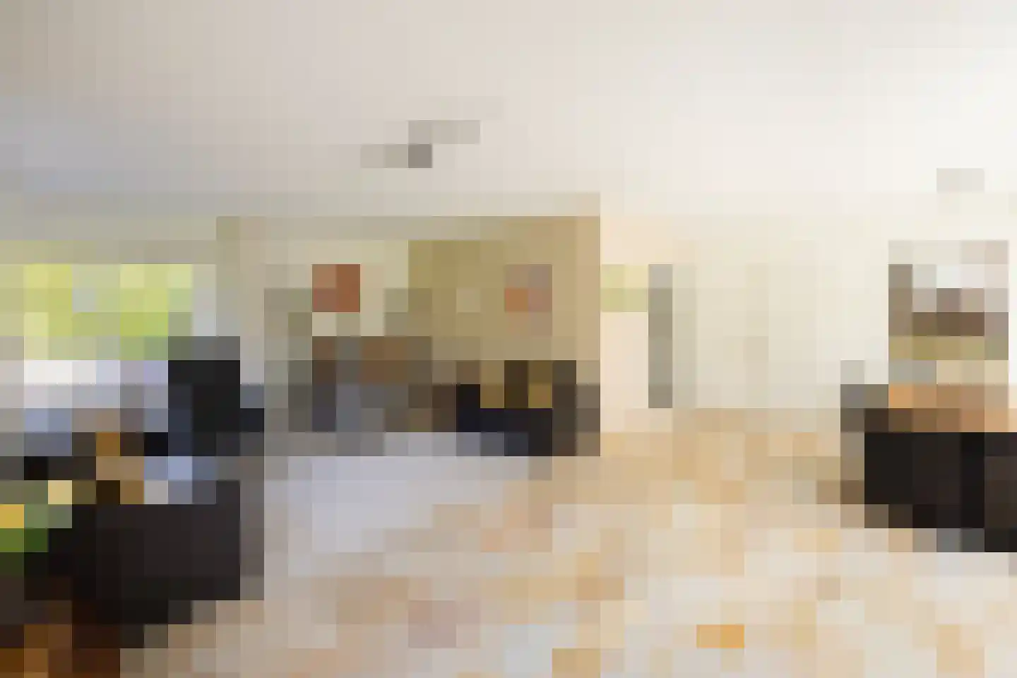 Peezeweg 7 Dalfsen thumbnail 14
