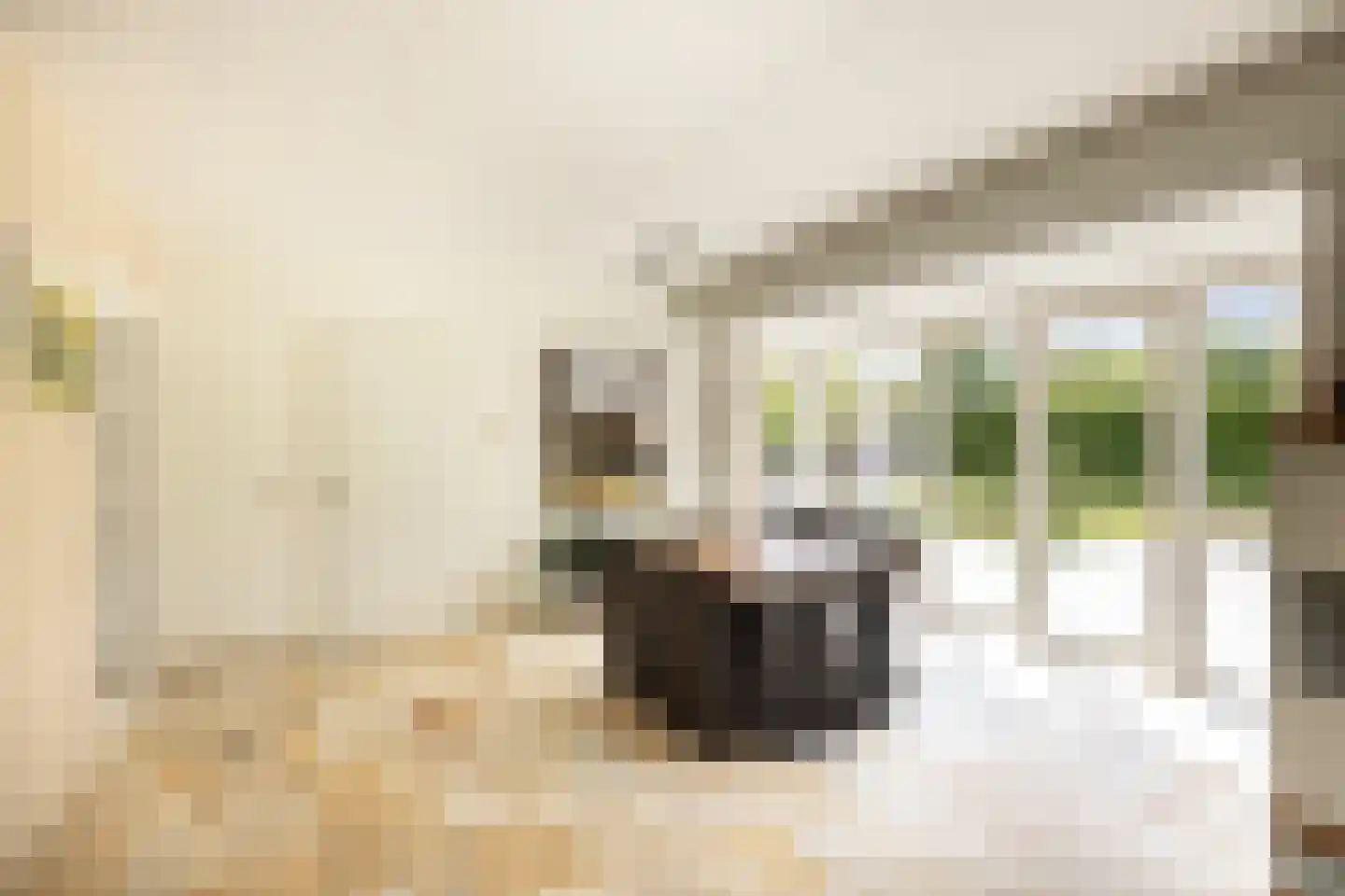 Peezeweg 7 Dalfsen thumbnail 18