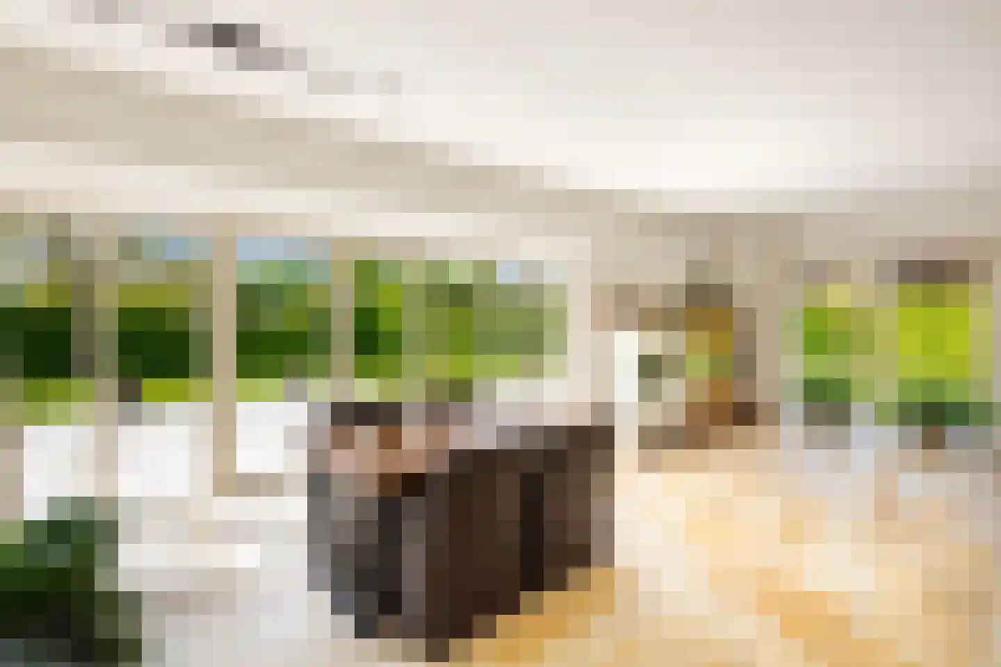 Peezeweg 7 Dalfsen thumbnail 19