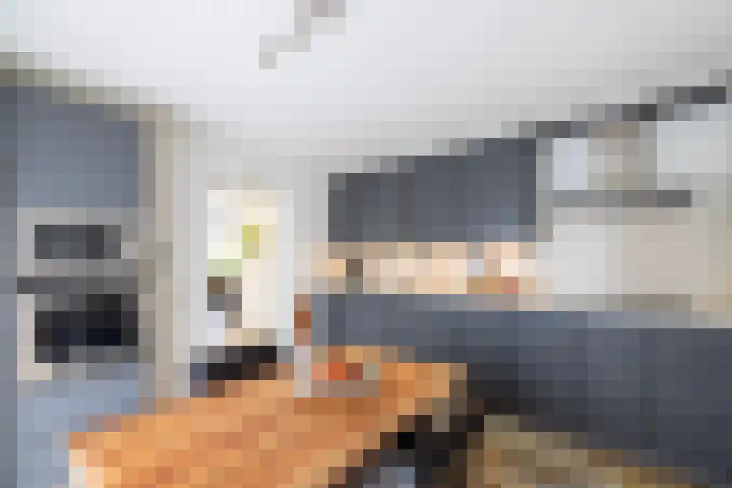 Peezeweg 7 Dalfsen thumbnail 21