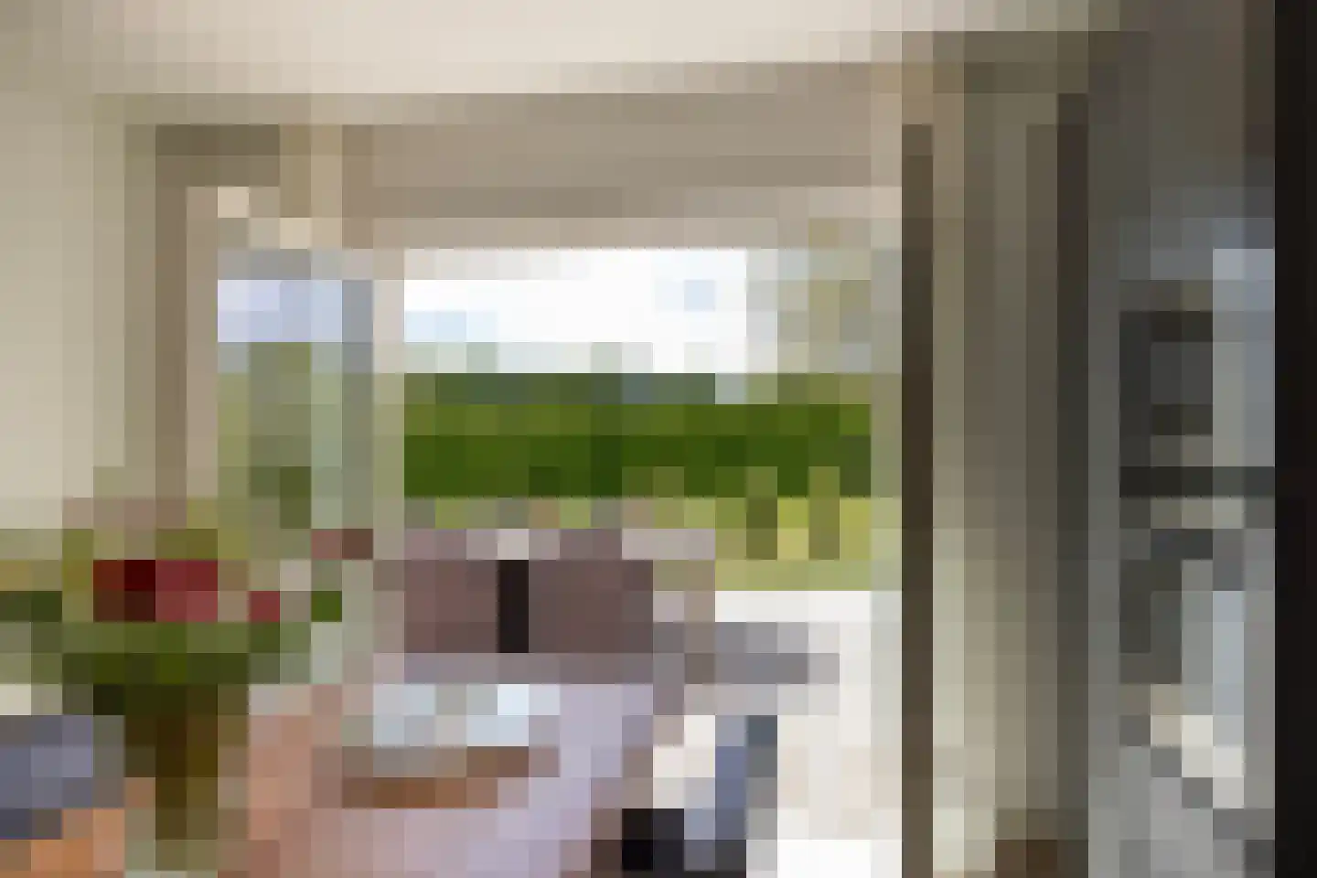 Peezeweg 7 Dalfsen thumbnail 22