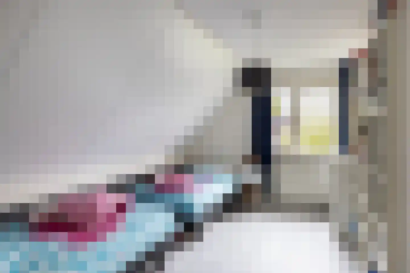 Peezeweg 7 Dalfsen thumbnail 27
