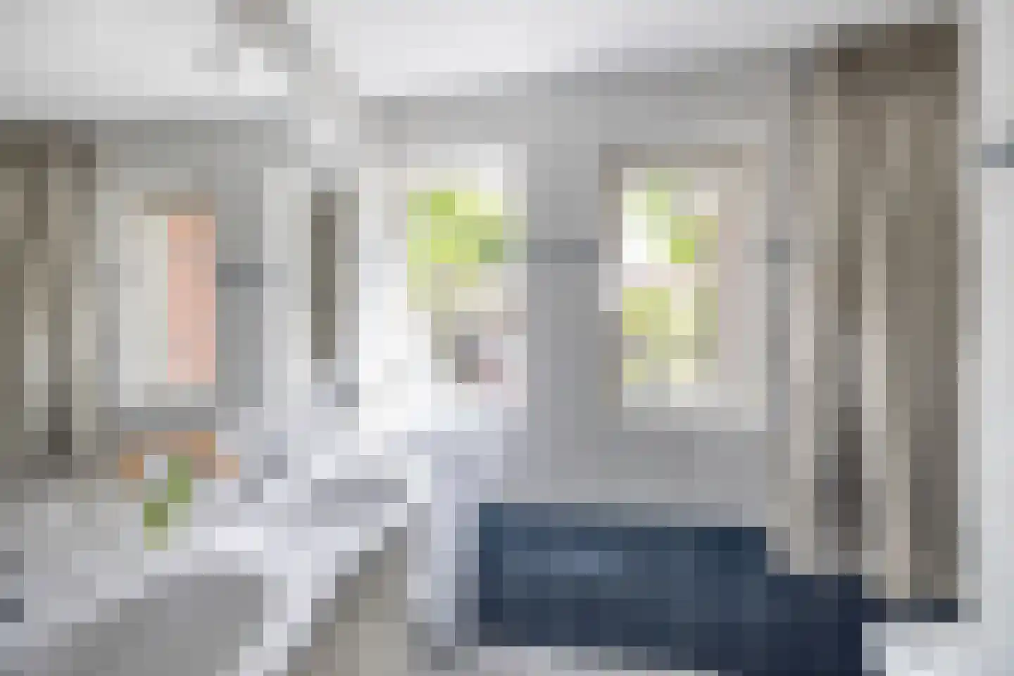 Peezeweg 7 Dalfsen thumbnail 29