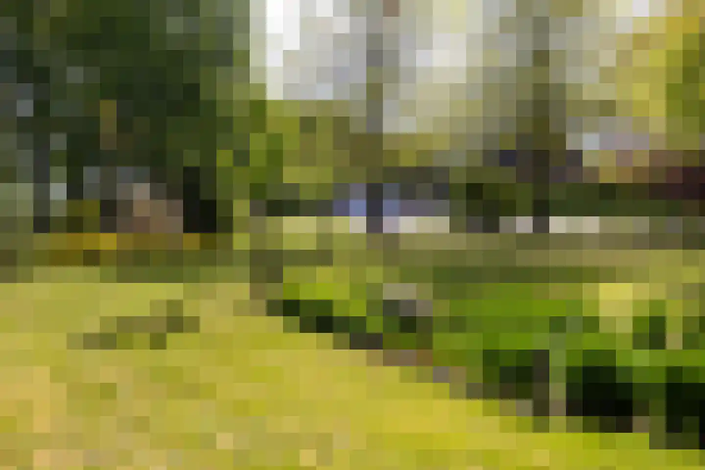 Peezeweg 7 Dalfsen foto 3