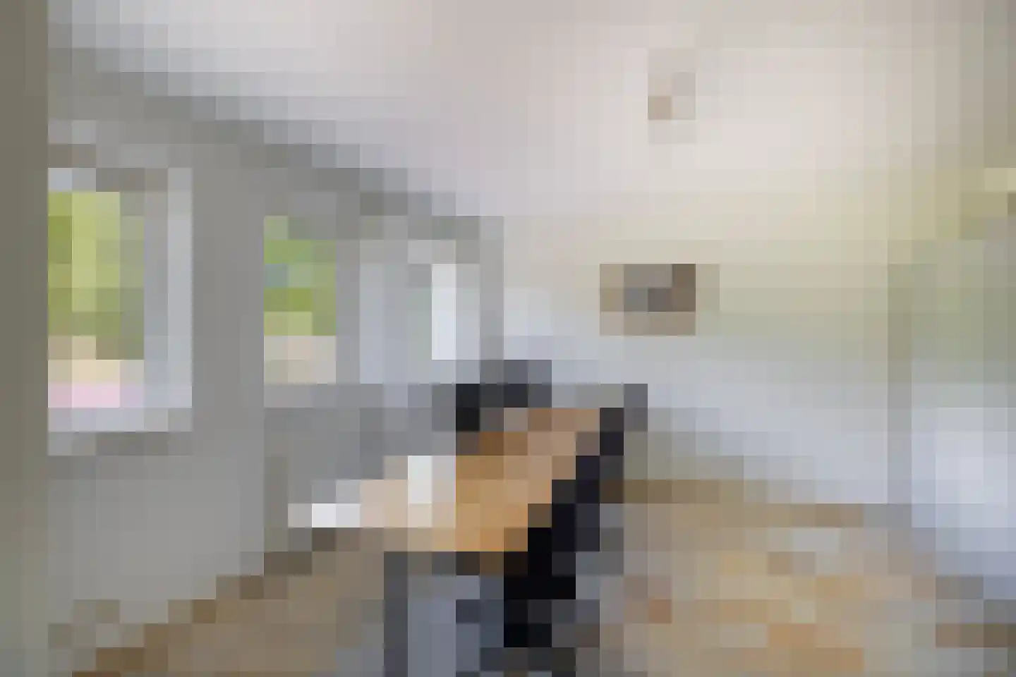 Peezeweg 7 Dalfsen thumbnail 30