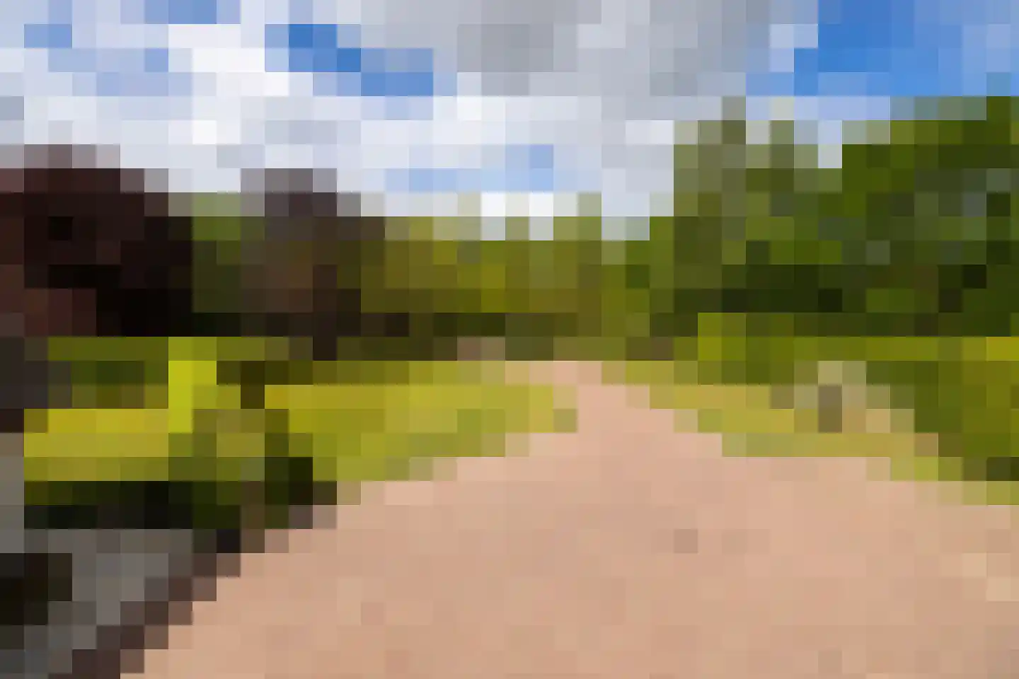 Peezeweg 7 Dalfsen thumbnail 32