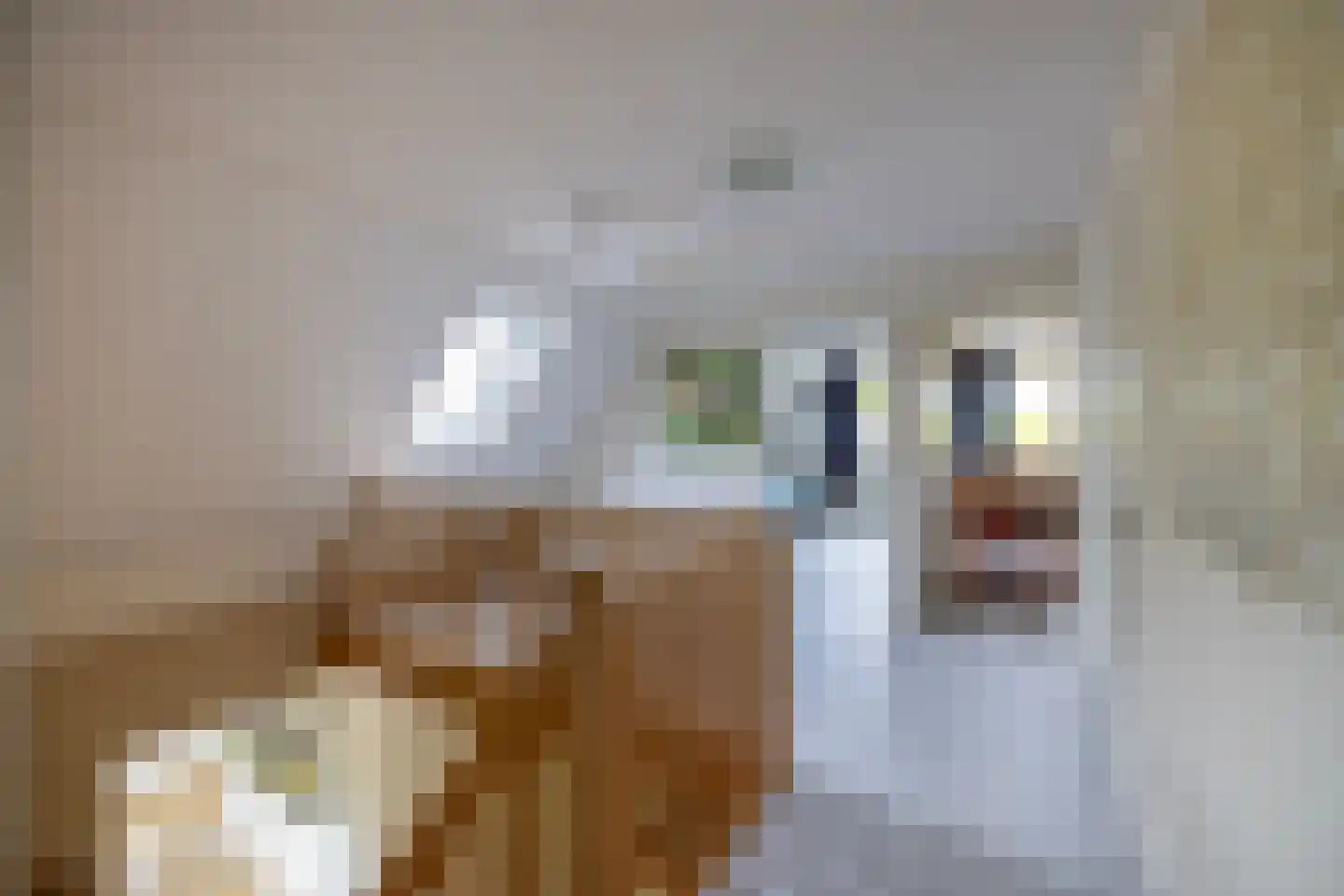Peezeweg 7 Dalfsen thumbnail 34