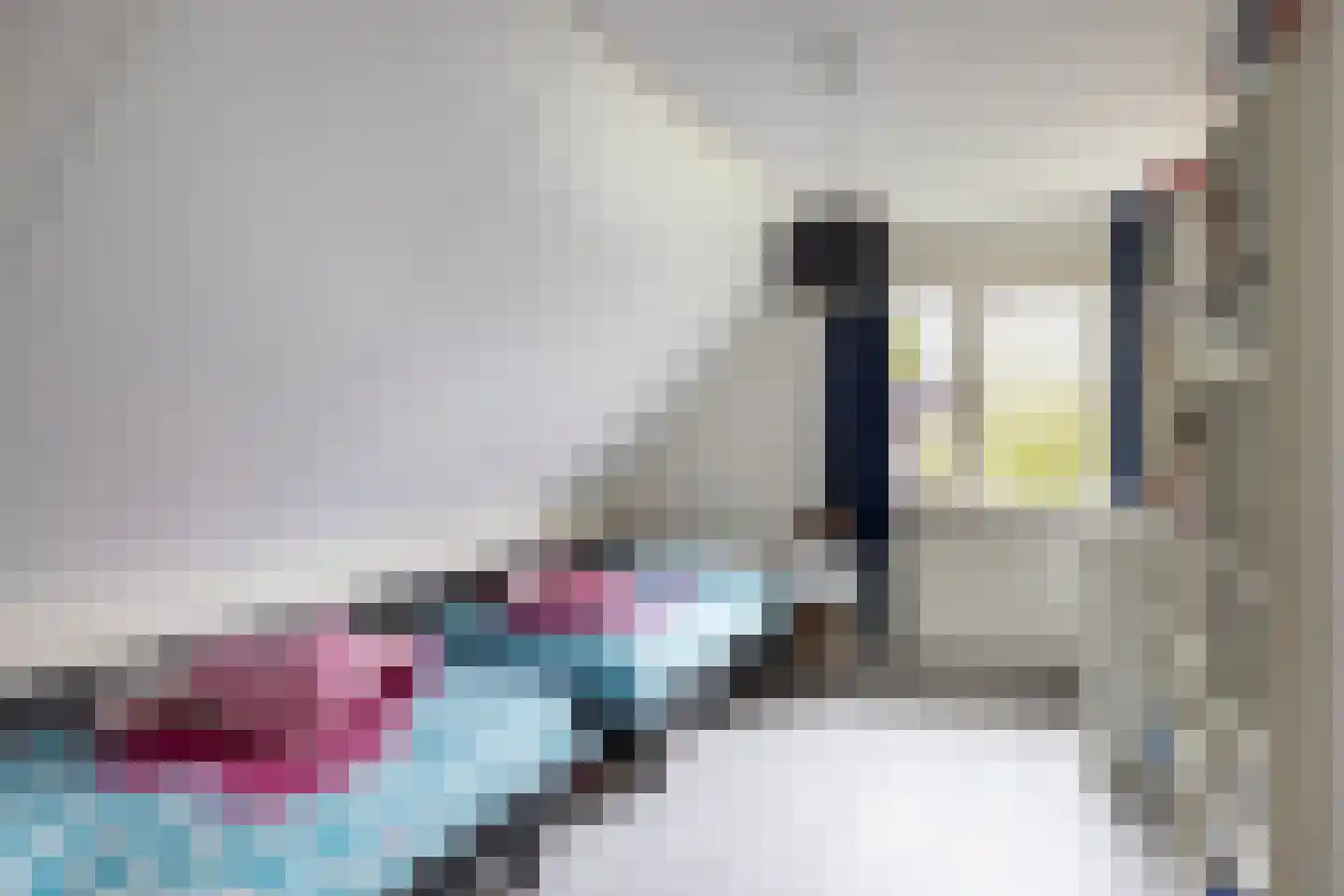 Peezeweg 7 Dalfsen thumbnail 35