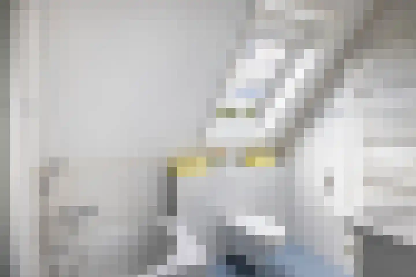 Peezeweg 7 Dalfsen thumbnail 37