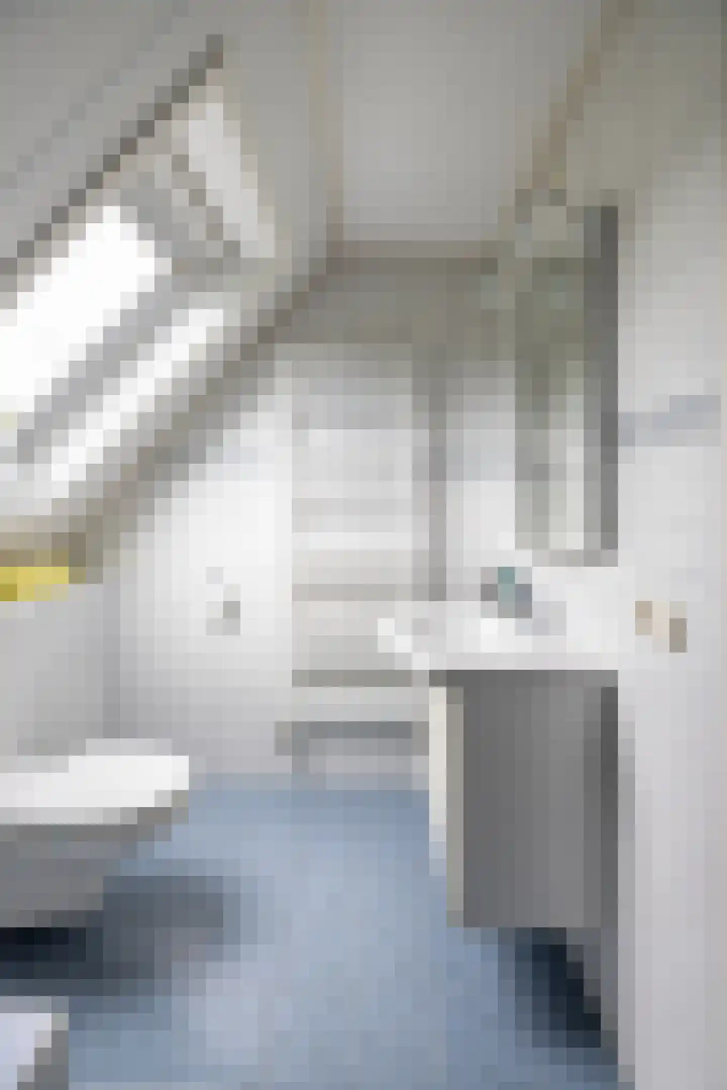 Peezeweg 7 Dalfsen thumbnail 38
