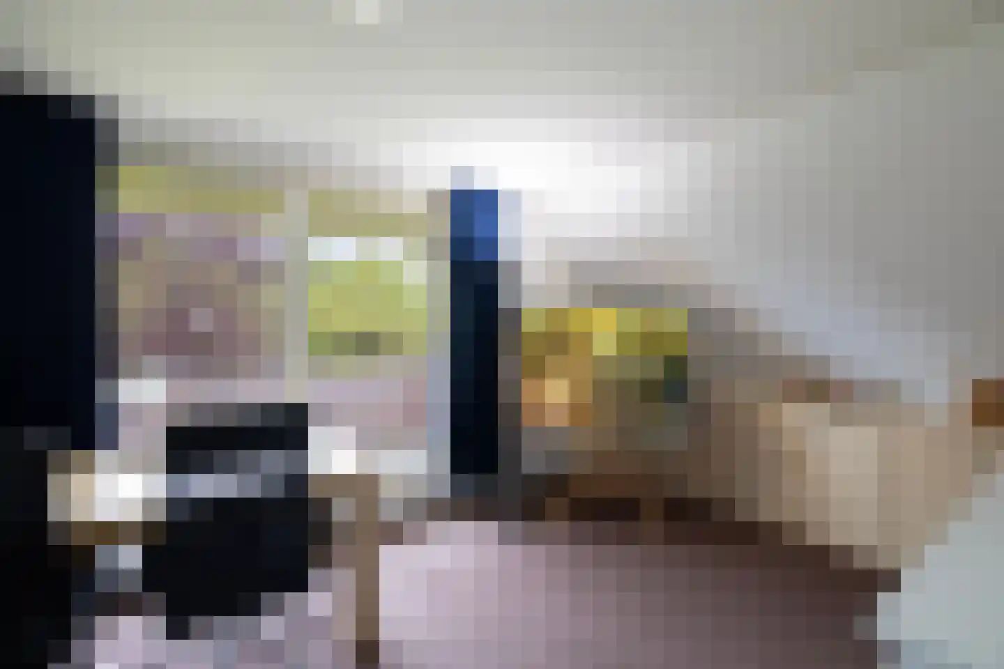 Peezeweg 7 Dalfsen thumbnail 39