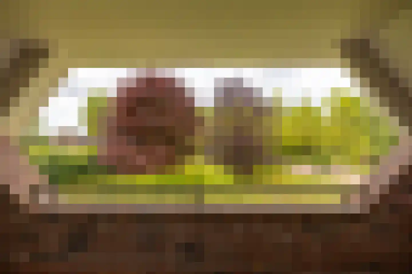 Peezeweg 7 Dalfsen thumbnail 40