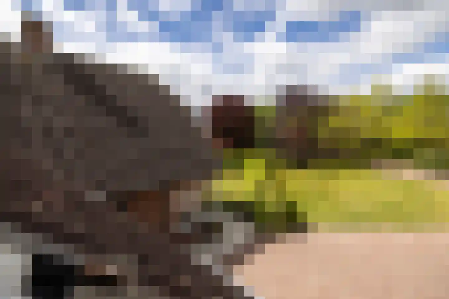 Peezeweg 7 Dalfsen thumbnail 41