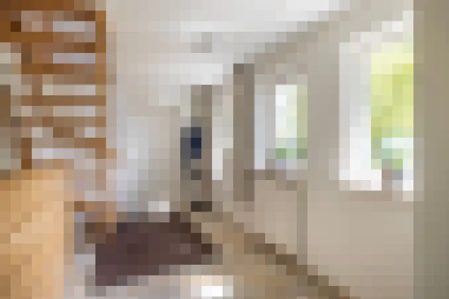 Peezeweg 7 Dalfsen thumbnail 43