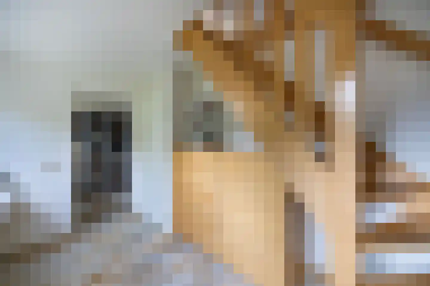 Peezeweg 7 Dalfsen thumbnail 44