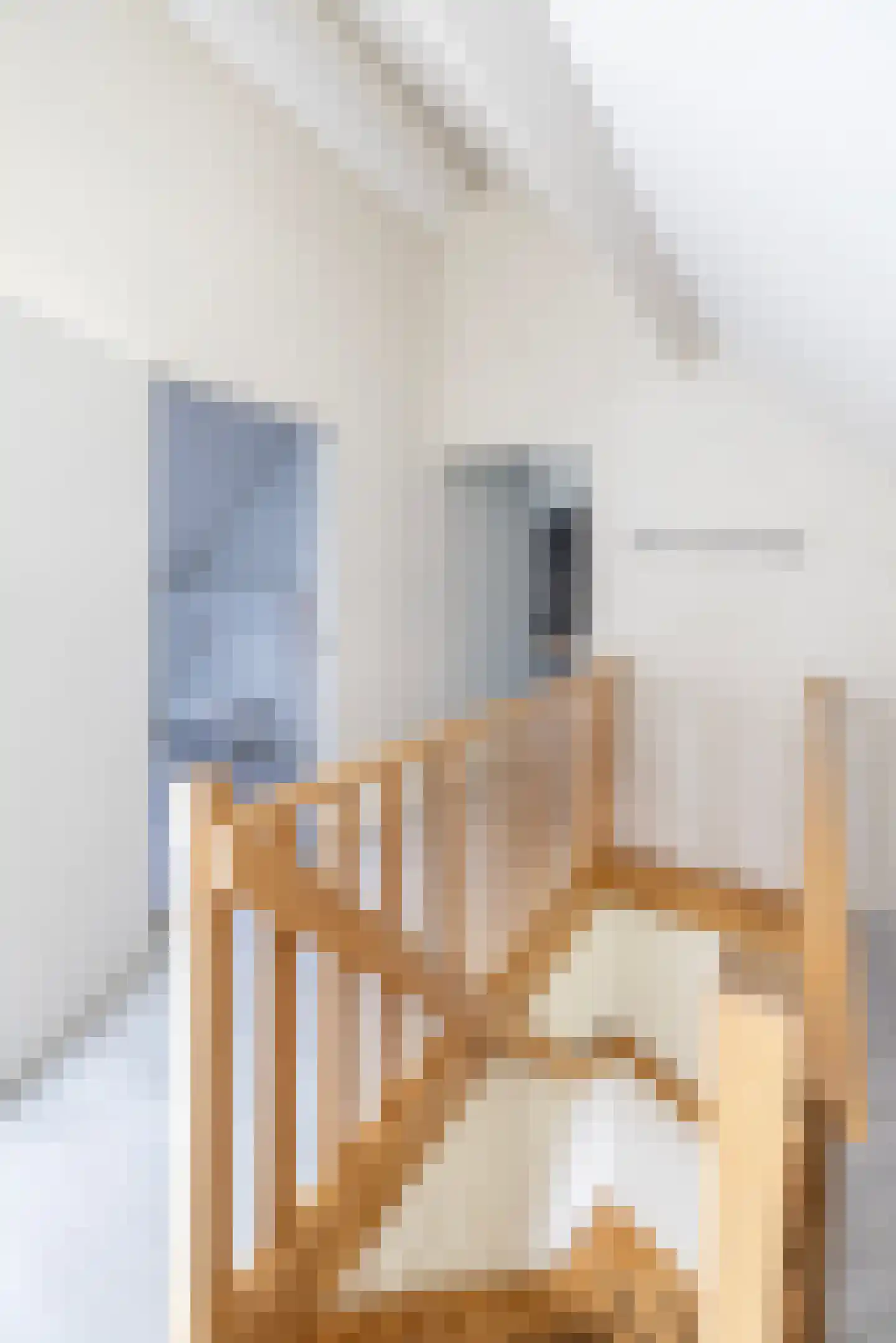 Peezeweg 7 Dalfsen thumbnail 45