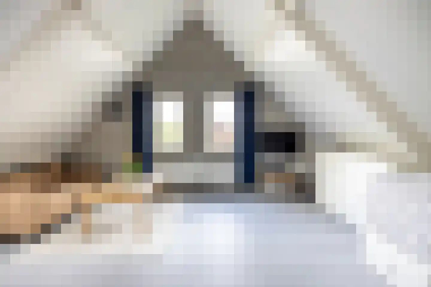 Peezeweg 7 Dalfsen thumbnail 46