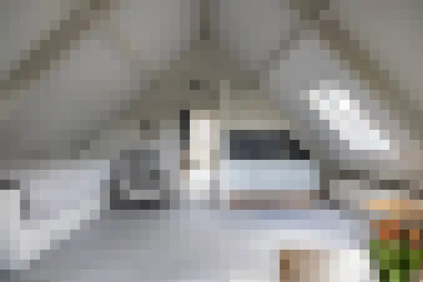 Peezeweg 7 Dalfsen thumbnail 47