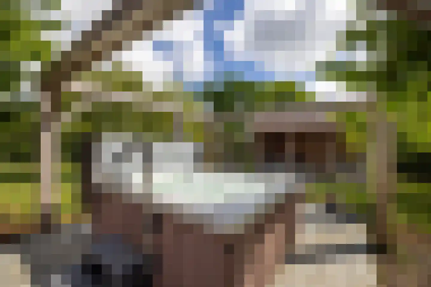 Peezeweg 7 Dalfsen thumbnail 5