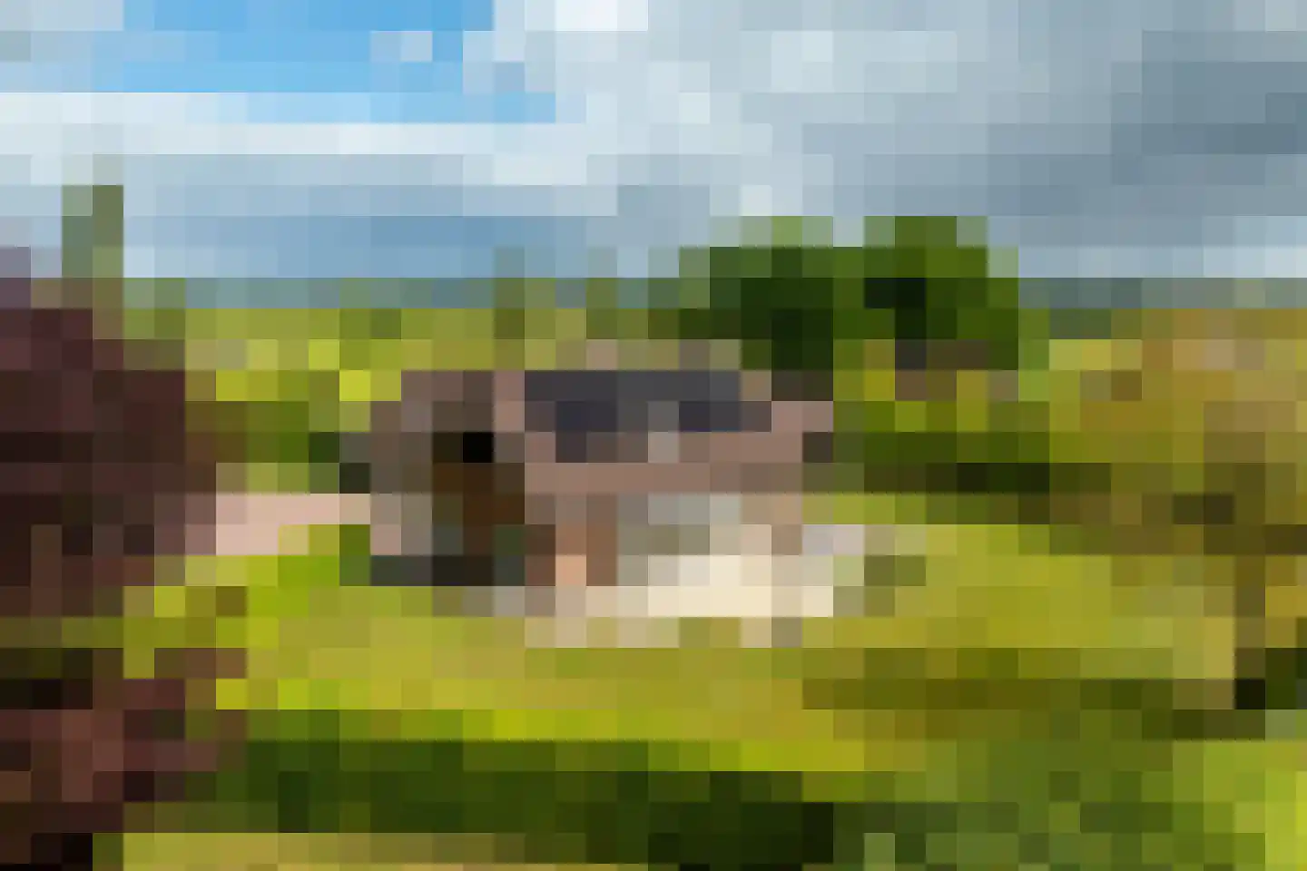 Peezeweg 7 Dalfsen thumbnail 5