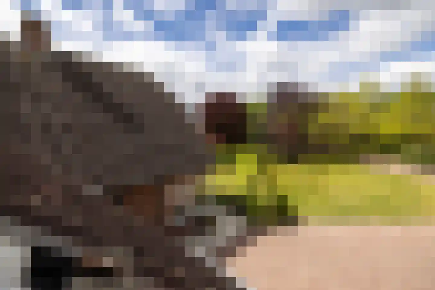 Peezeweg 7 Dalfsen thumbnail 51
