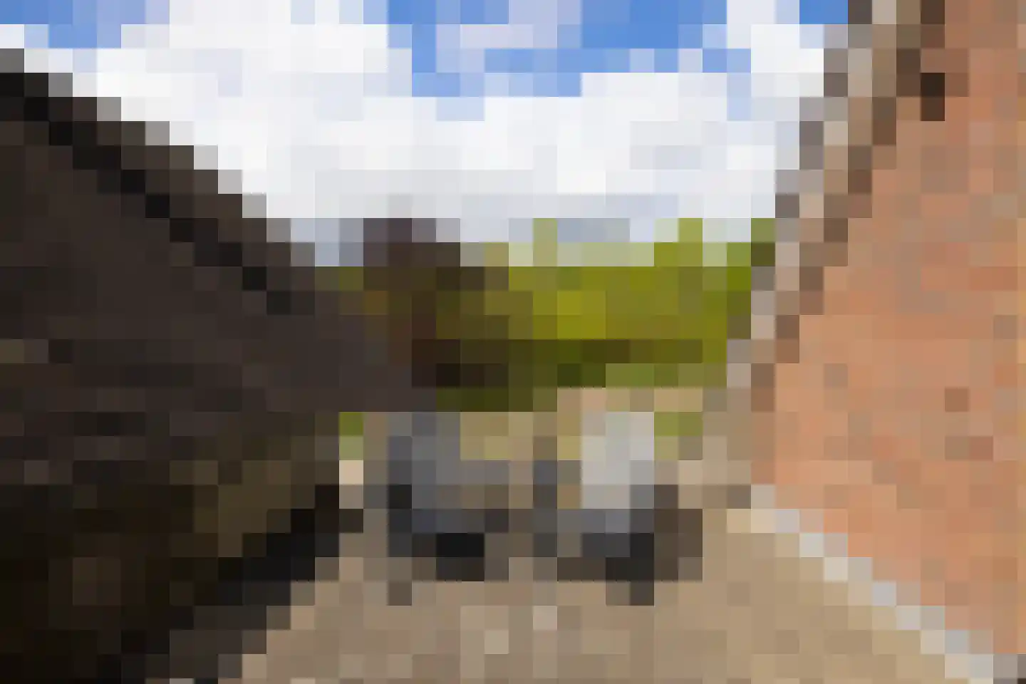Peezeweg 7 Dalfsen thumbnail 52