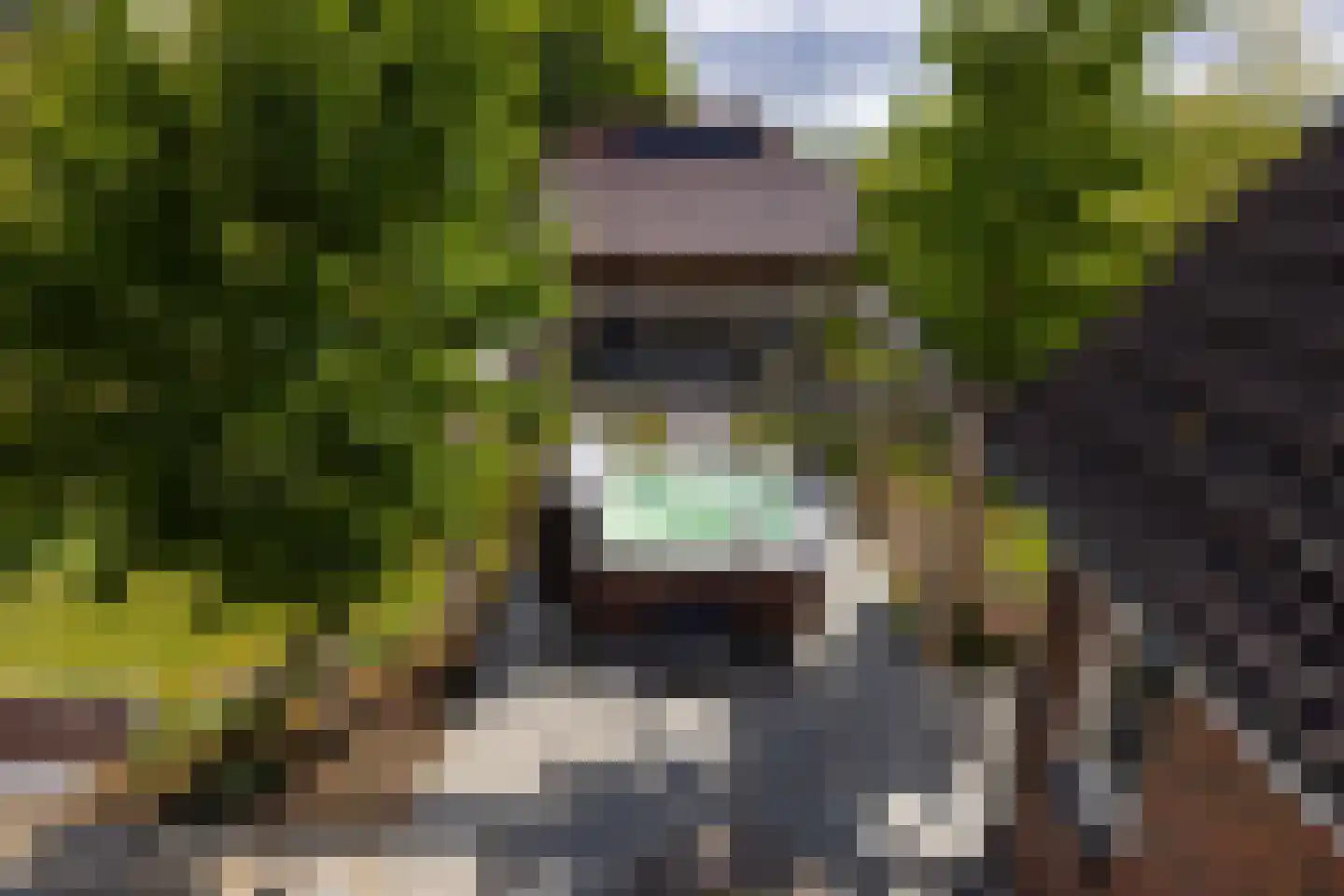 Peezeweg 7 Dalfsen thumbnail 53