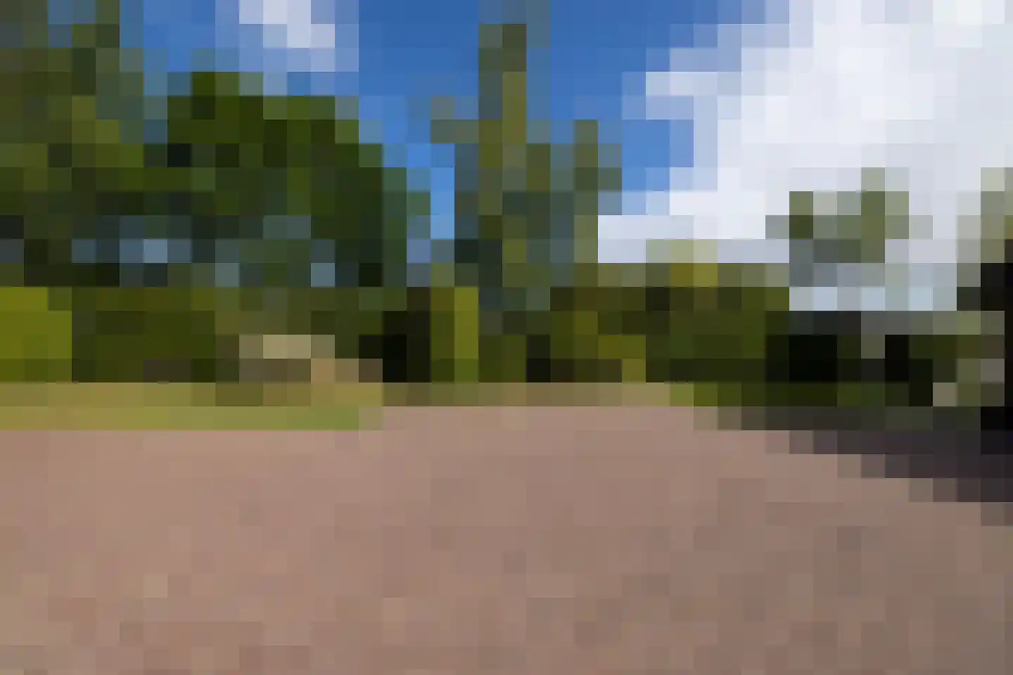 Peezeweg 7 Dalfsen thumbnail 60
