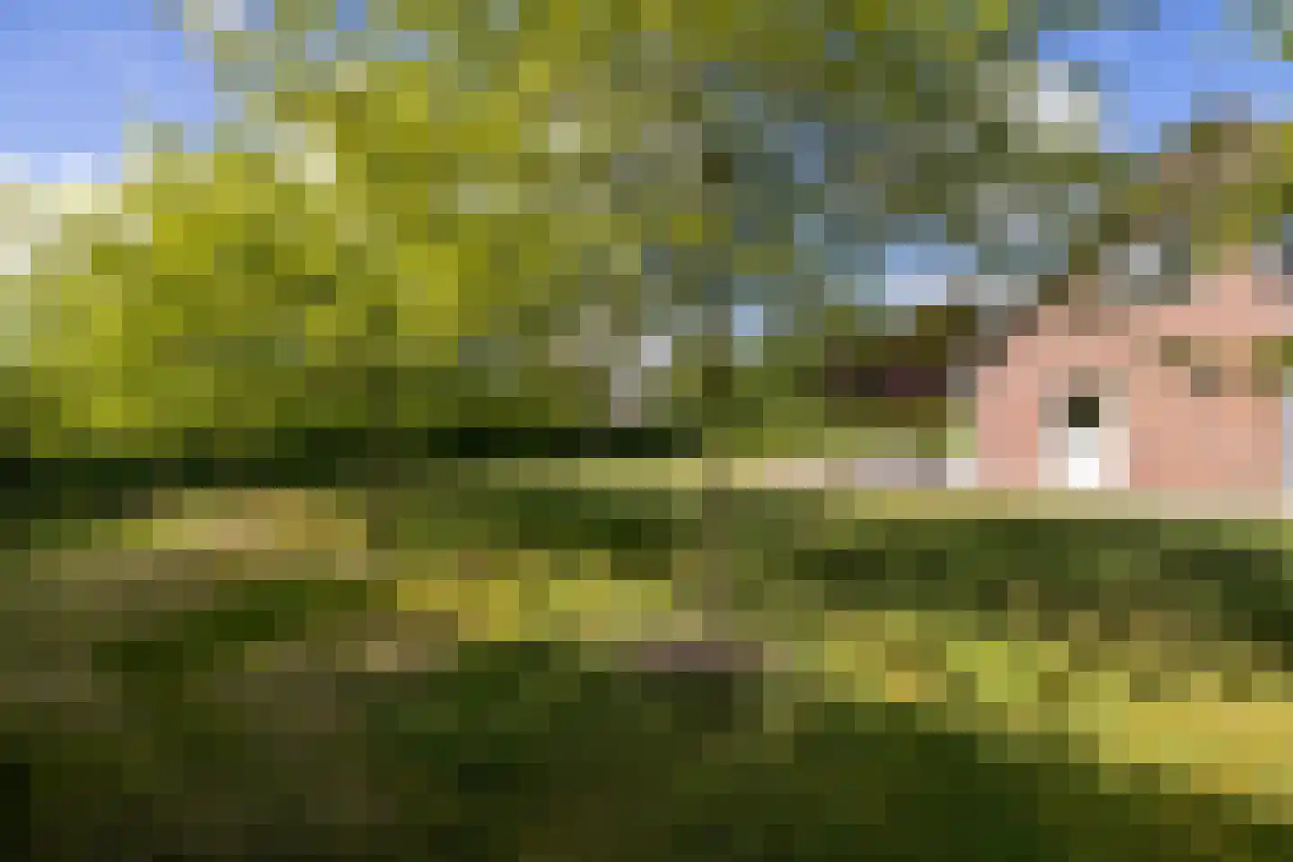 Peezeweg 7 Dalfsen thumbnail 61