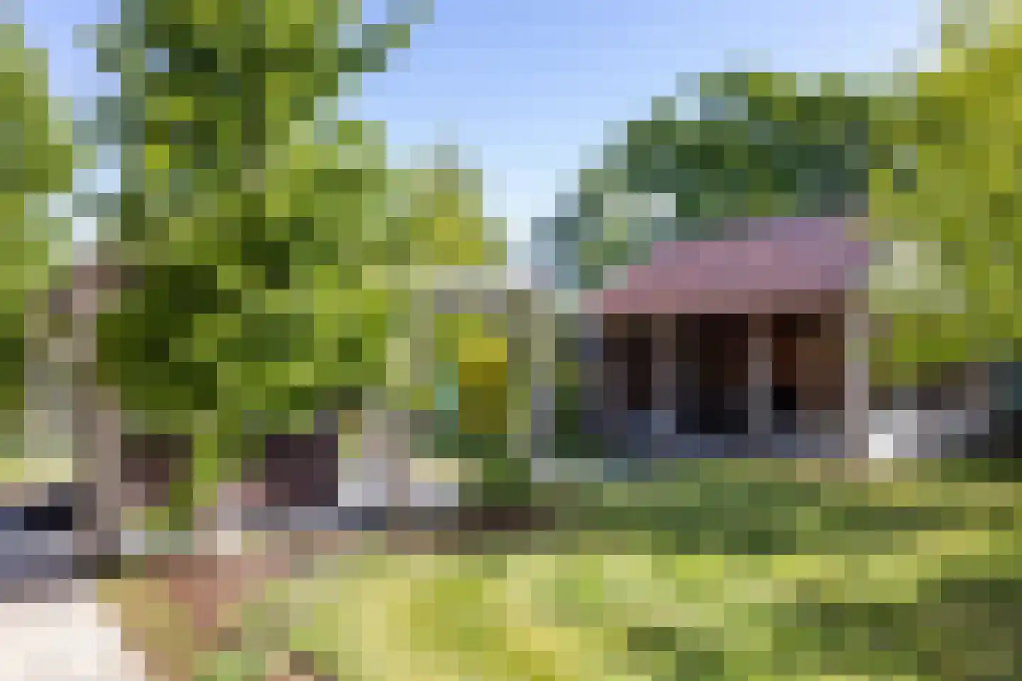 Peezeweg 7 Dalfsen thumbnail 63