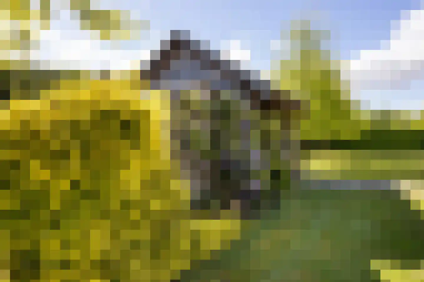 Peezeweg 7 Dalfsen thumbnail 66