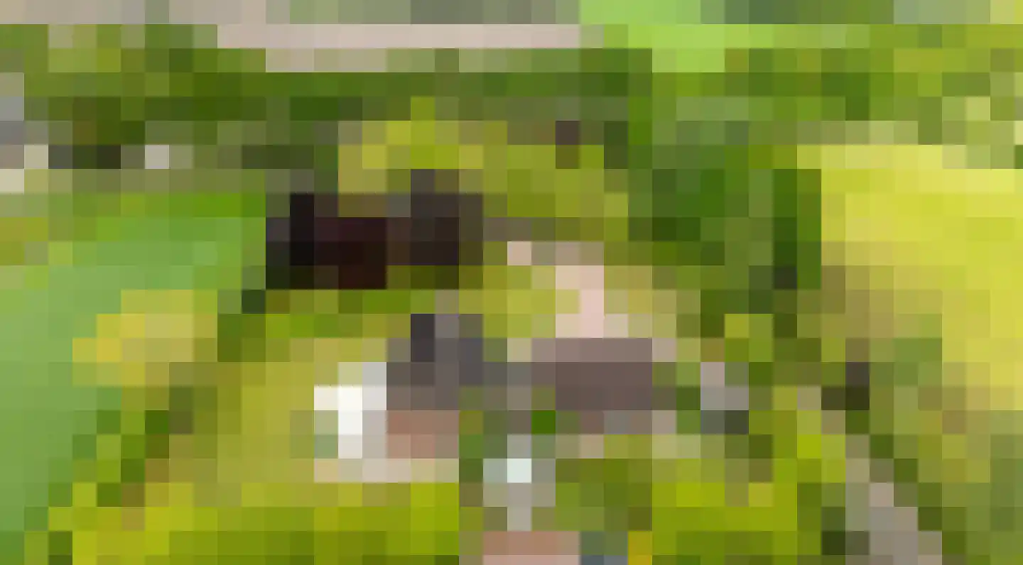 Peezeweg 7 Dalfsen thumbnail 66