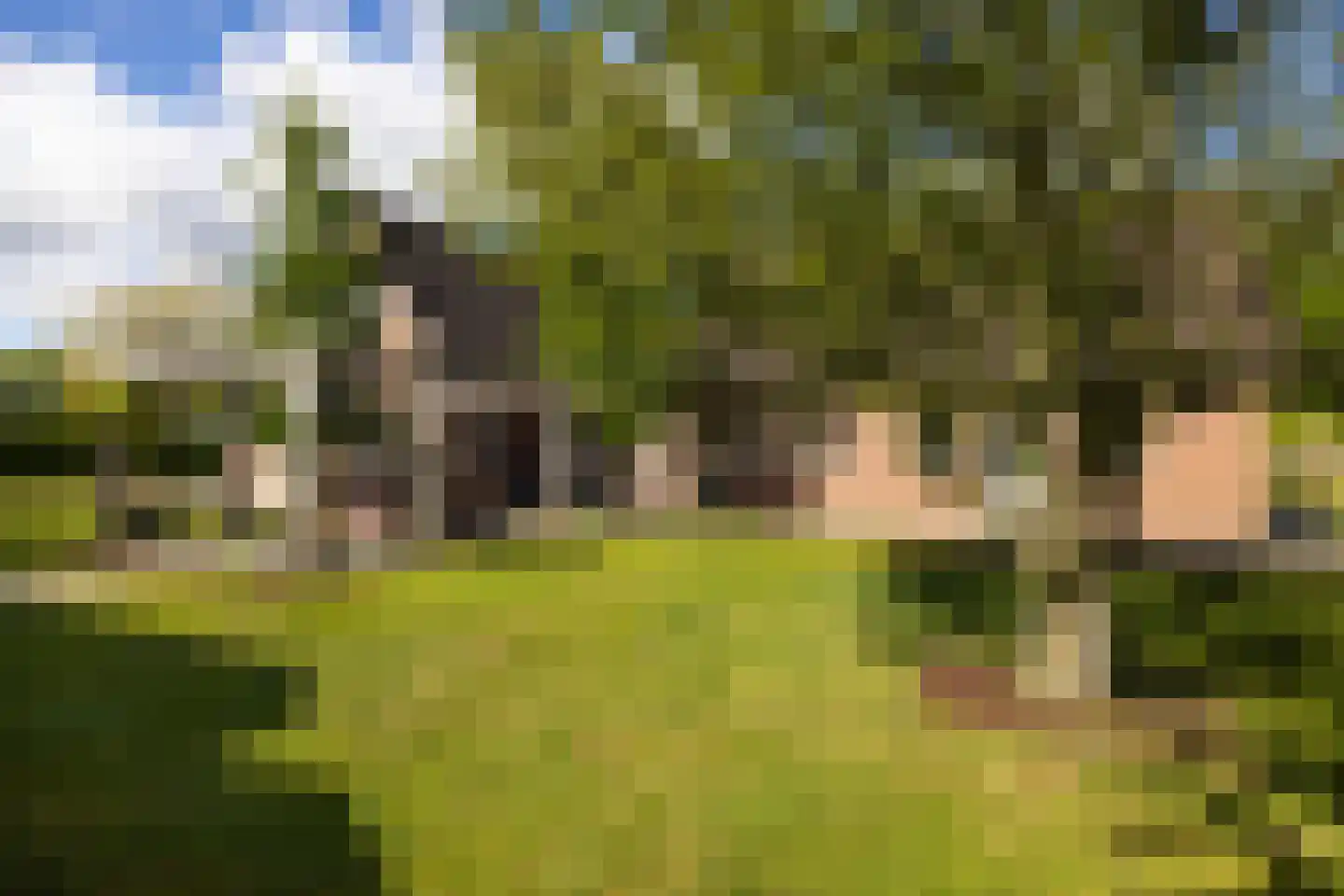Peezeweg 7 Dalfsen thumbnail 67