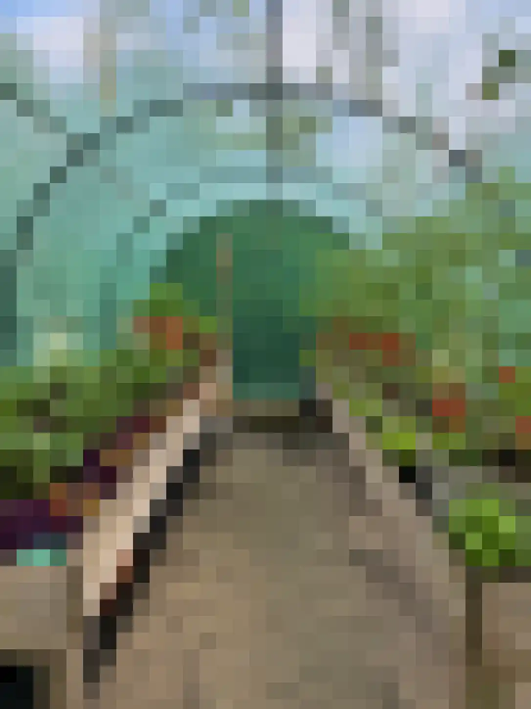 Peezeweg 7 Dalfsen thumbnail 69