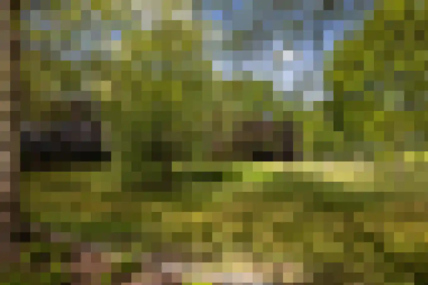 Peezeweg 7 Dalfsen thumbnail 7